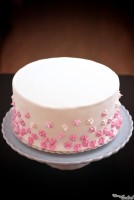 PINKY MCPINK FONDANT-CHOCOLATE CAKE